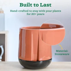 Moonlight Drama Ceramic Planter