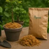 Moss 1 Kg
