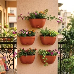Mounta Wall Planter:- Set of 5
