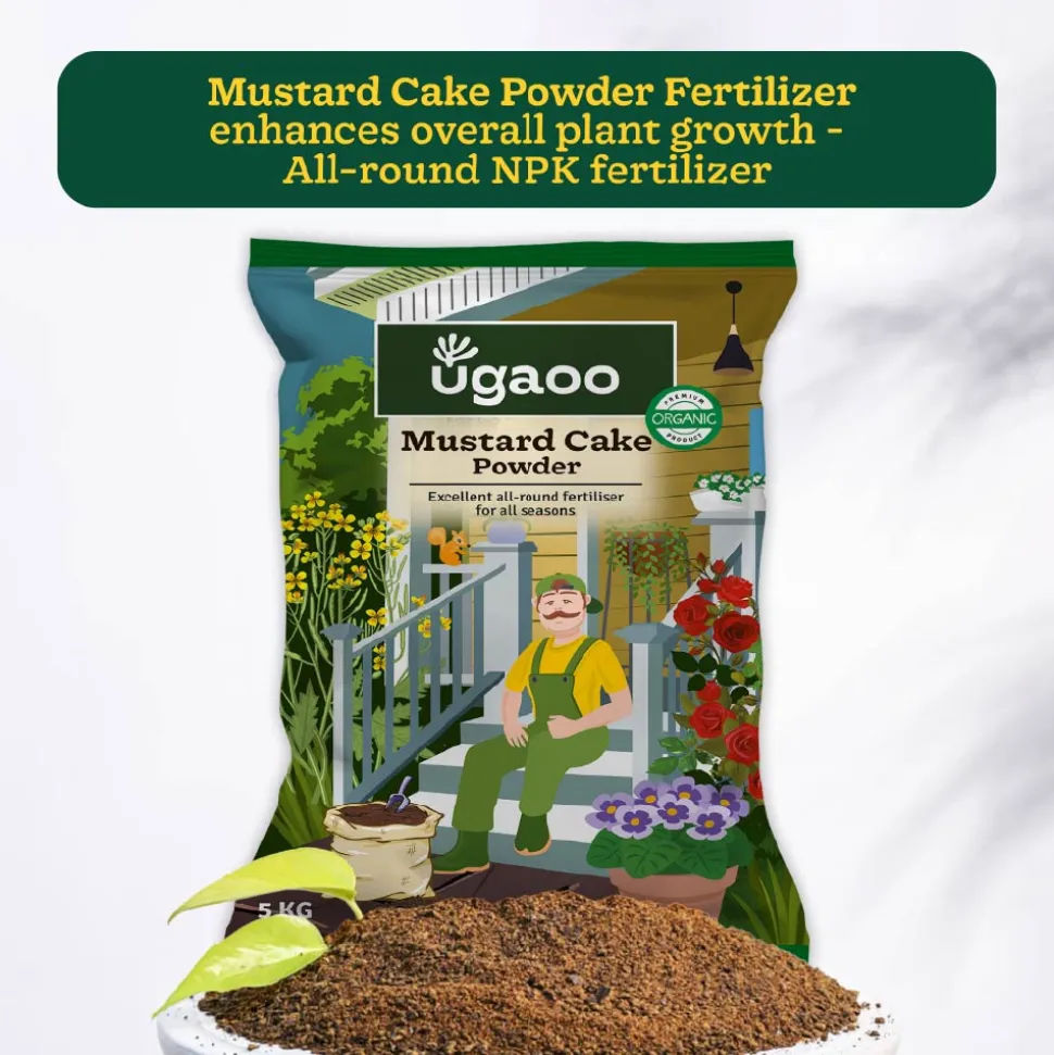 Mustard Cake Powder