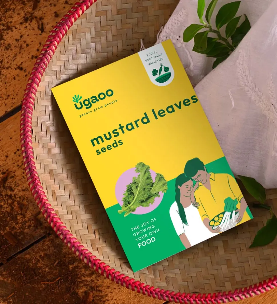 Mustard Leaves Seeds