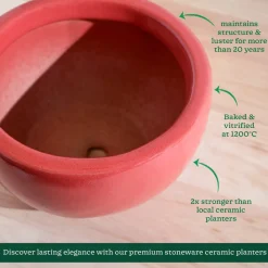 Nature's Hum Fat Ceramic Planter