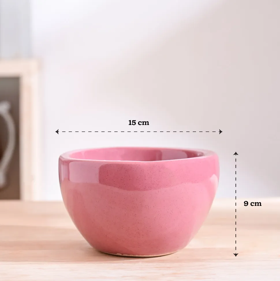 Nature's Hum Fat Ceramic Planter