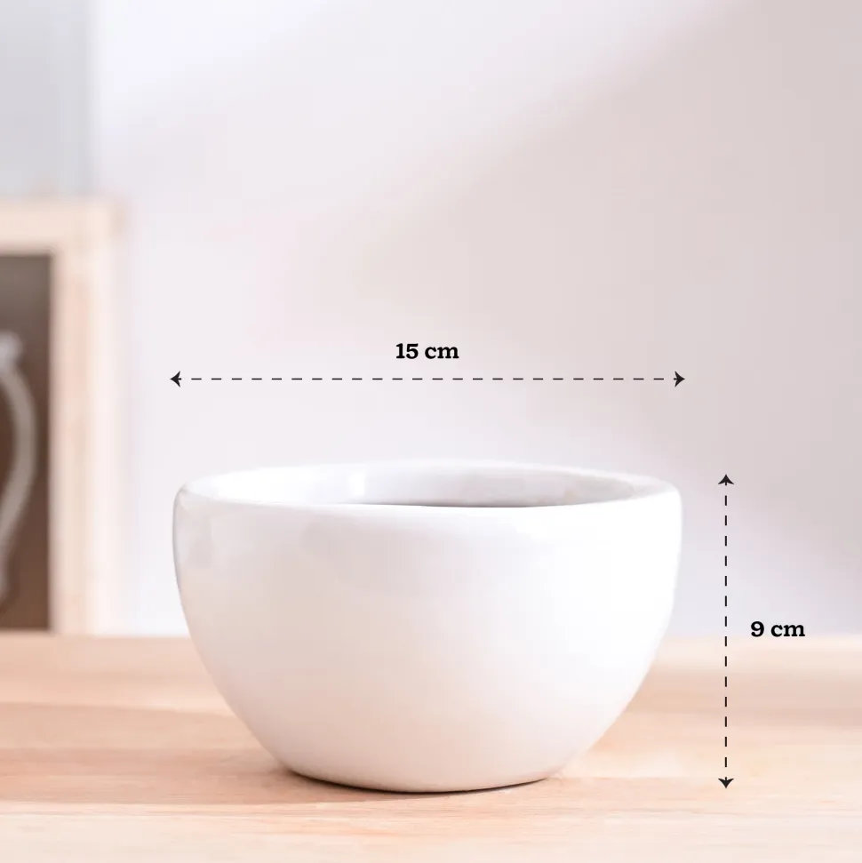Nature's Hum Fat Ceramic Planter