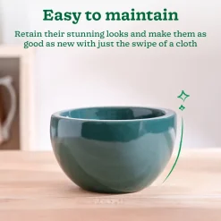 Nature's Hum Fat Ceramic Planter