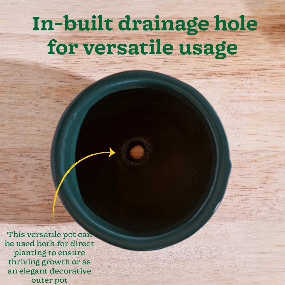 Nature's Hum Fat Ceramic Planter