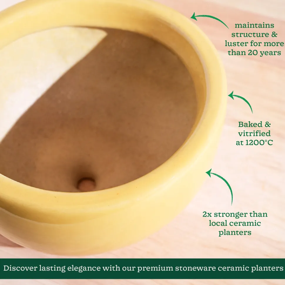 Nature's Hum Fat Ceramic Planter