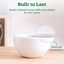 Nature's Hum Fat Ceramic Planter