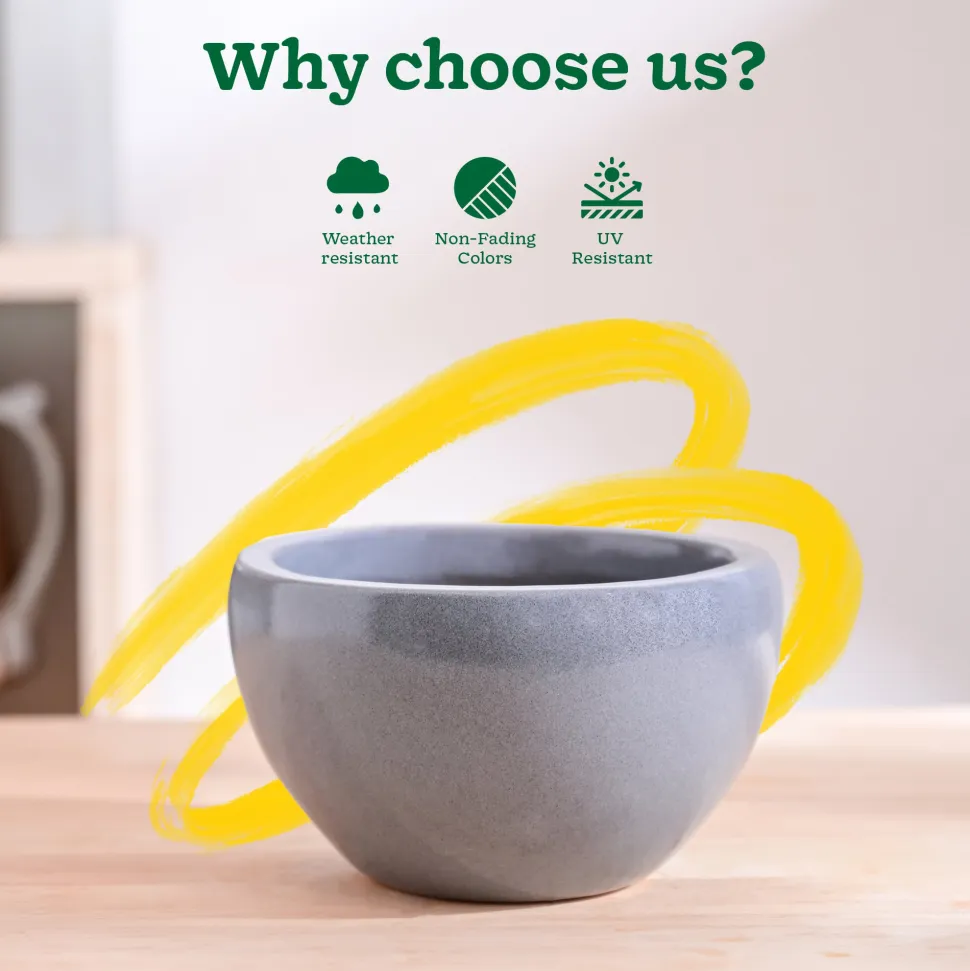 Nature's Hum Fat Ceramic Planter