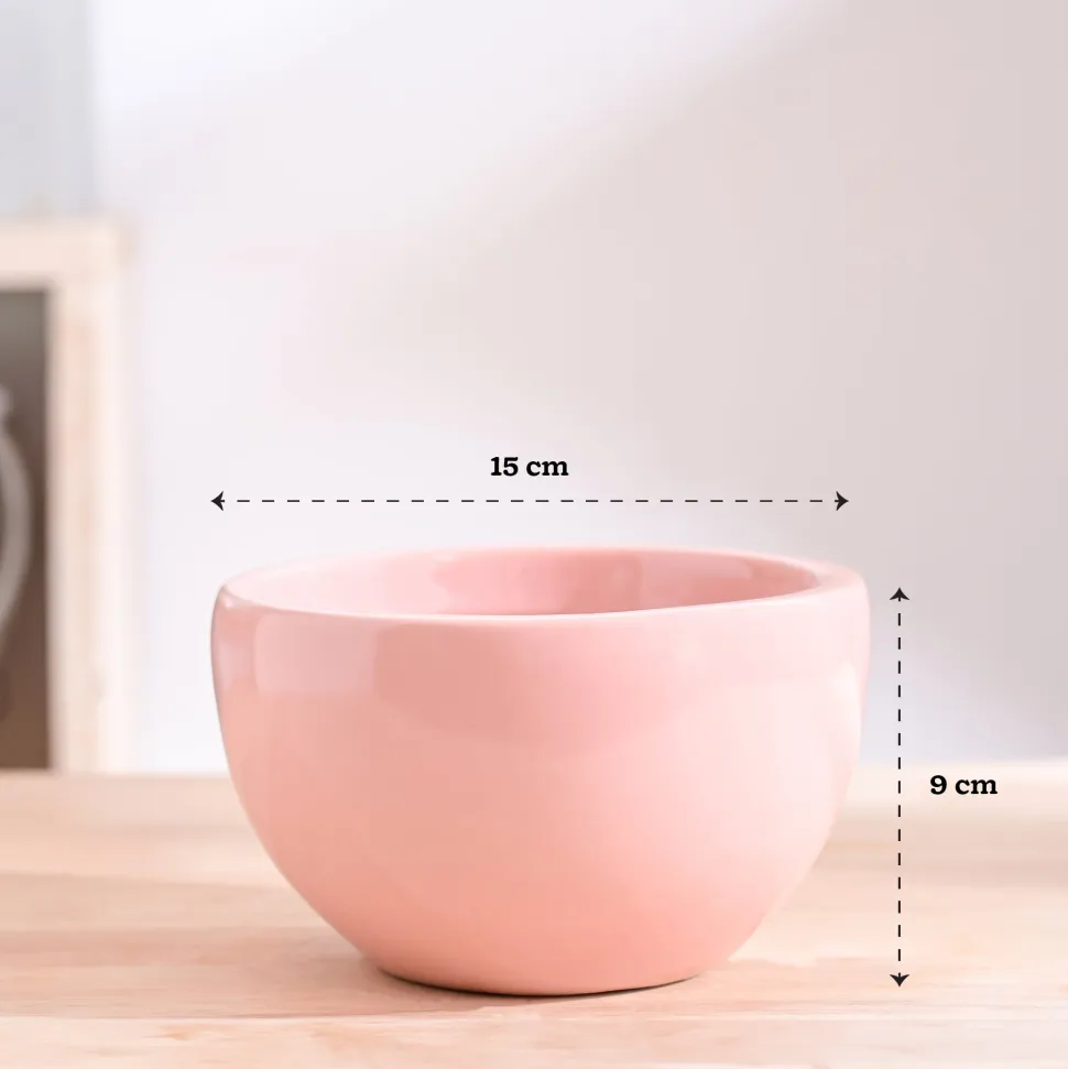 Nature's Hum Fat Ceramic Planter