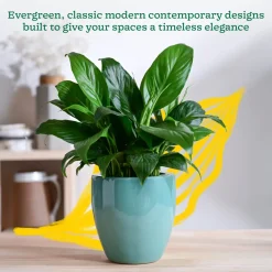 Nature's Hum Slim Ceramic Planter