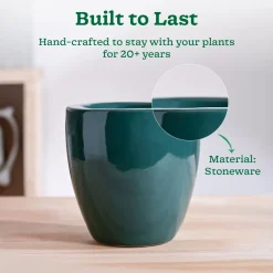 Nature's Hum Slim Ceramic Planter