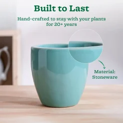 Nature's Hum Slim Ceramic Planter
