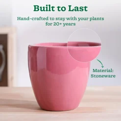 Nature's Hum Slim Ceramic Planter