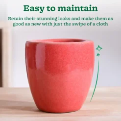 Nature's Hum Slim Ceramic Planter
