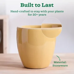 Nature's Hum Slim Ceramic Planter