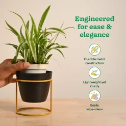 Nyx Planter