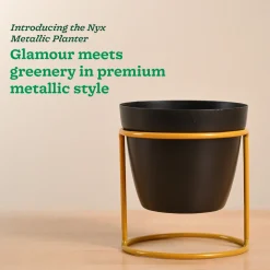 Nyx Planter