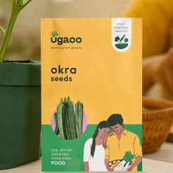 Okra Seeds (Lady Finger)