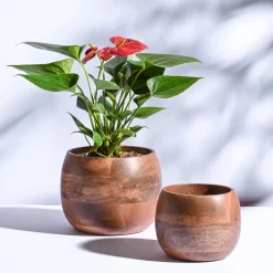 Orbit Wooden Planter - Set of 2