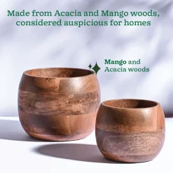 Orbit Wooden Planter - Set of 2