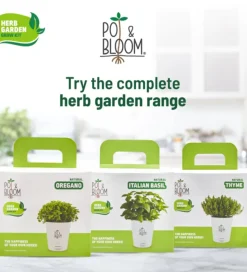 Oregano Grow Kit