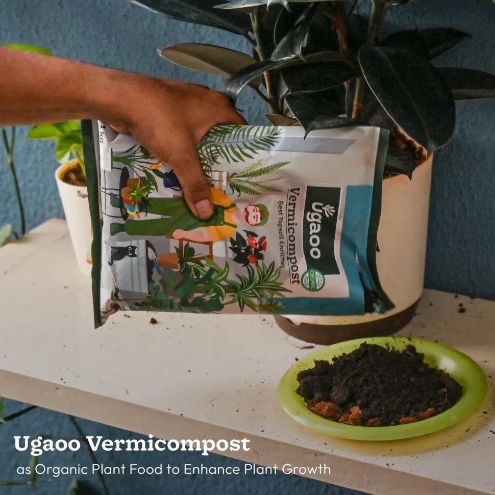 Outdoor Gardening Kit