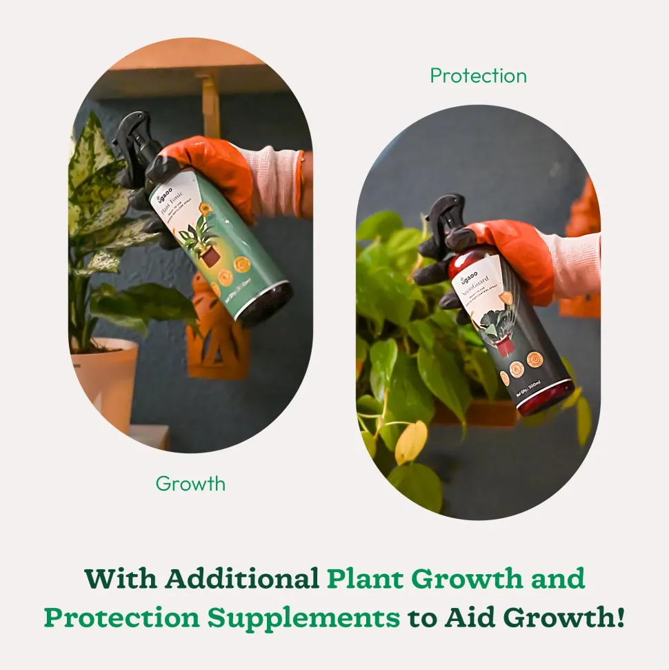 Outdoor Gardening Kit