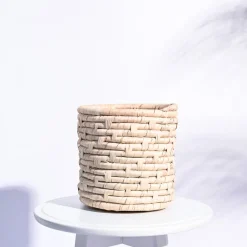 Palm Leaf Planter