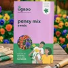 Pansy Mix Seeds