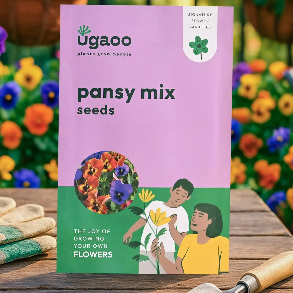 Pansy Mix Seeds