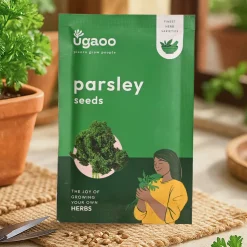 Parsley Seeds