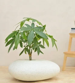 Pebble Shaped Planter