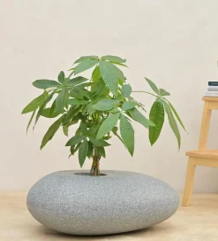 Pebble Shaped Planter