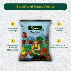 Perlite - 250gm