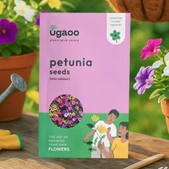 Petunia Mix Seeds