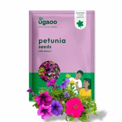 Petunia Mix Seeds