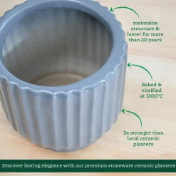 Phoenix ceramic Planter