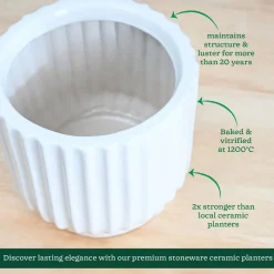 Phoenix ceramic Planter