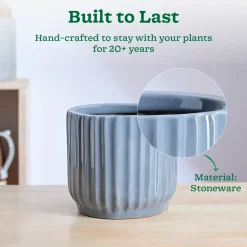 Phoenix ceramic Planter