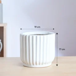 Phoenix ceramic Planter