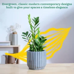 Phoenix ceramic Planter