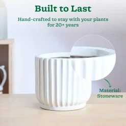 Phoenix ceramic Planter