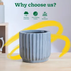 Phoenix ceramic Planter