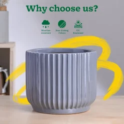 Phoenix Ceramic Pot (9.5 Inch Diameter)
