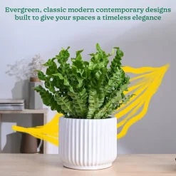 Phoenix Ceramic Pot (9.5 Inch Diameter)