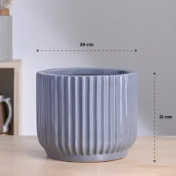 Phoenix Ceramic Pot (9.5 Inch Diameter)