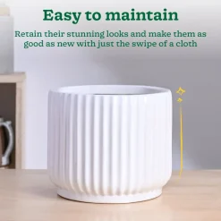 Phoenix Ceramic Pot (9.5 Inch Diameter)