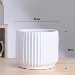 Phoenix Ceramic Pot (9.5 Inch Diameter)