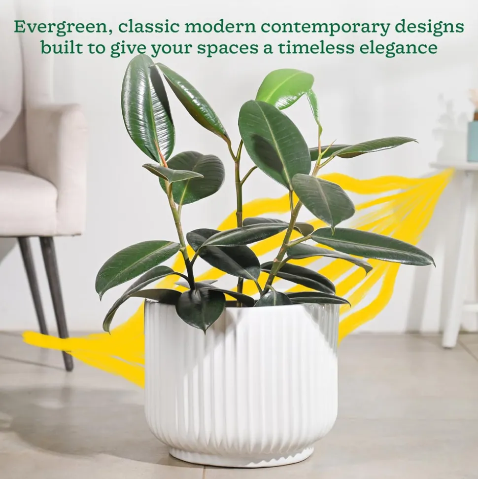 Phoenix Ceramic Pot (12.5 Inch Diameter)